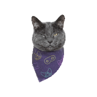 Video Games Cat Sticker by Geekster Pets