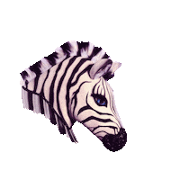 MaskedDancerFOX zebra the masked dancer masked dancer zebra mask Sticker