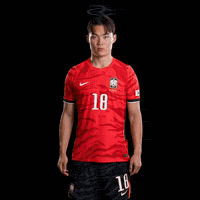 Fifa World Cup Kfa GIF by Respective