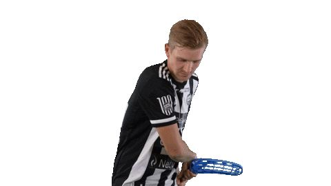Floorball Salibandy Sticker by F-liiga
