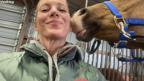Video gif. A woman smiles and laughs at us as a horse wiggles his nose against her ear to tickle her. 