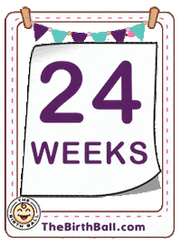 Expecting 24 Weeks Sticker by The Birth Ball