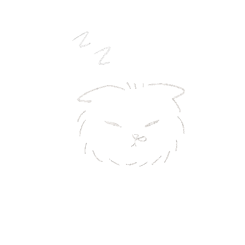 Cat Night Sticker