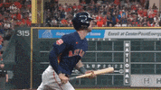 Baseball Playoffs GIF by MLB
