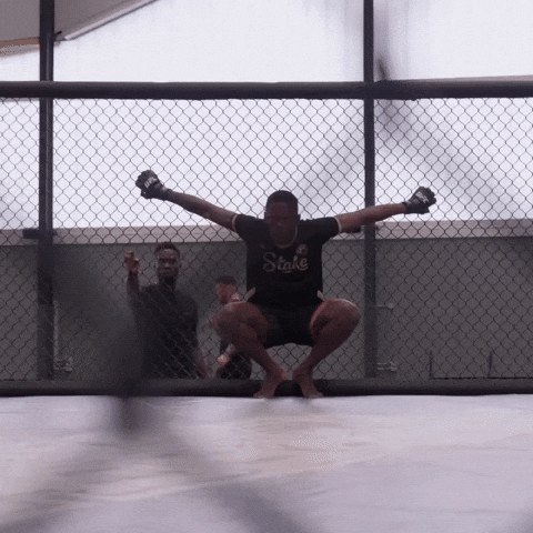 Mixed Martial Arts Sport GIF by UFC