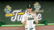 College Baseball Jonah GIF by GreenWave