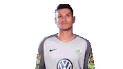 pavao pervan football Sticker by VfL Wolfsburg