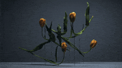 time lapse film GIF by AnOther