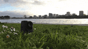 time-lapse photography GIF by Photojojo