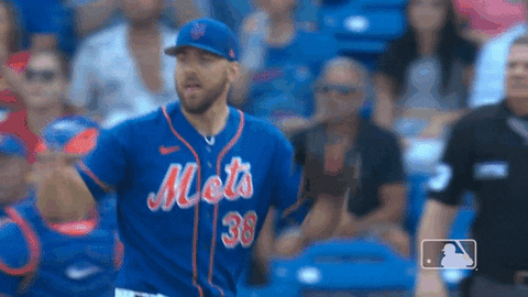 Excited GIF by New York Mets