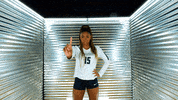 Toledo Volleyball GIF by Toledo Rockets