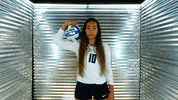 Toledo Volleyball GIF by Toledo Rockets