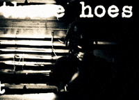 Dev Hoe GIF by New 11