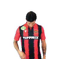 Batik Honved Sticker by Budapest Honvéd FC