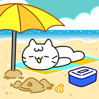 Happy Cat GIF by Mikitti