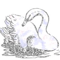 swan STICKER