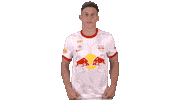 Red Bull Sport Sticker by FC Red Bull Salzburg