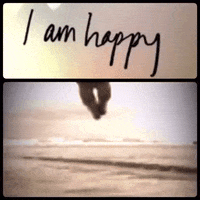 havefun GIF by The Videobook