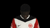 Look Up Eintracht Frankfurt GIF by Bundesliga