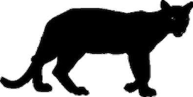 panther STICKER