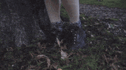 Drag Queen What GIF by Miss Petty