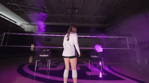 Volleyball GIF by Tommie Athletics
