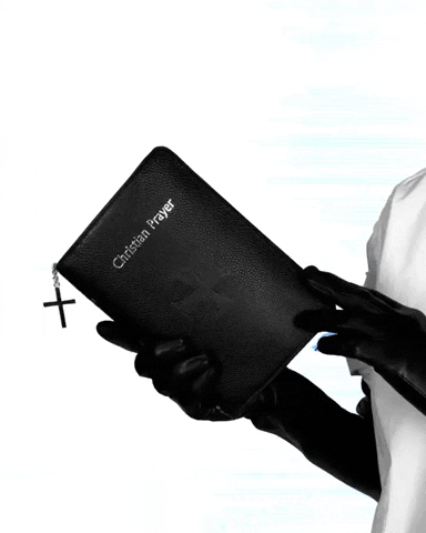 METCHA giphyupload vhs leather bible GIF