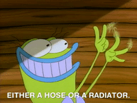 rockos modern life nicksplat GIF