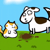 Cat Dog GIF by Poku Meow