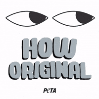 Animal Rights GIF by PETA