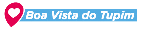 Bahia Salvador Sticker by Democratas