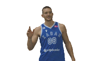 Basketball Player Sticker by KK Zadar