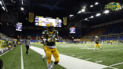 north dakota state football GIF by NDSU Athletics