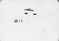 matthias brown GIF by TraceLoops