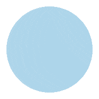 HumanRightsCampaign lgbt lgbtq georgia peach Sticker