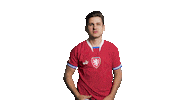 Football Soccer Sticker by 2score