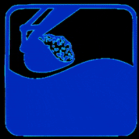 steuertiefbau construction tiefbau steuer earthworks GIF