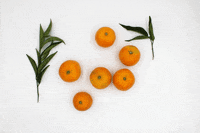 Agribio clemenrubi mandarina clemenrubi agribio GIF