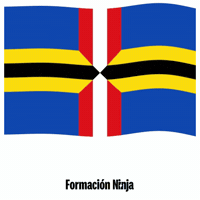 Flag Spain GIF by Formación Ninja