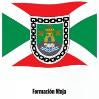 Castilla Y Leon Flag GIF by Formación Ninja