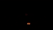 BrainCandyMGMT brain candy bcm dripping in gold tichi GIF
