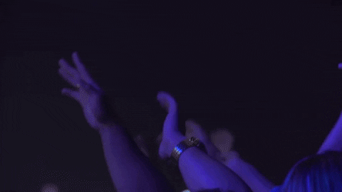 Hand Up GIF by Royaume du Web