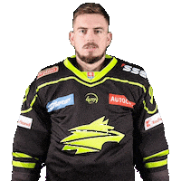 tiposshl sport hockey goalie hokej Sticker
