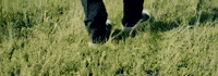 Jm303 GIF by Jan Metternich