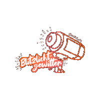 rollei_de blitz fotografie rollei cameragear Sticker