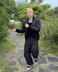 Stray Kids Skz GIF