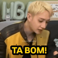 Ta Bom Stray Kids GIF