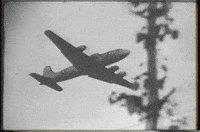 germany berlin GIF by US National Archives