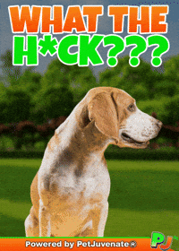 Henlo Hooman Fren GIF by PetJuvenate - PJ