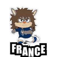 France Football Sticker